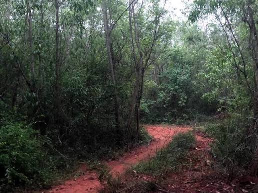 Auroville